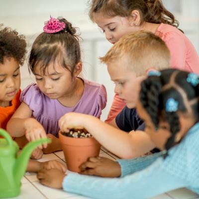 Children working together as they care for a plant. Children working together as they care for a plant.