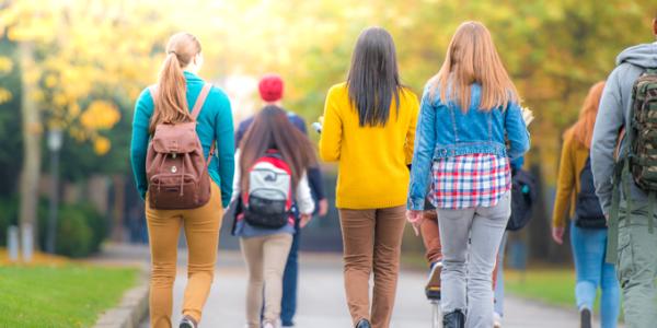 NAEYC Commission on Higher Education Accreditation Back view of college students walking on campus