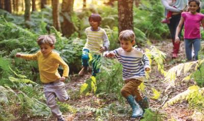 children playing in the woods