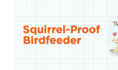 squirrel proof bird feeder activity