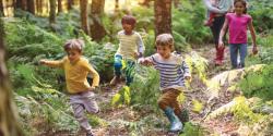 children playing in the woods