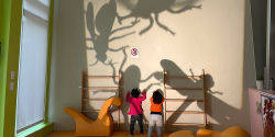 children observing shadows of insects on the wall