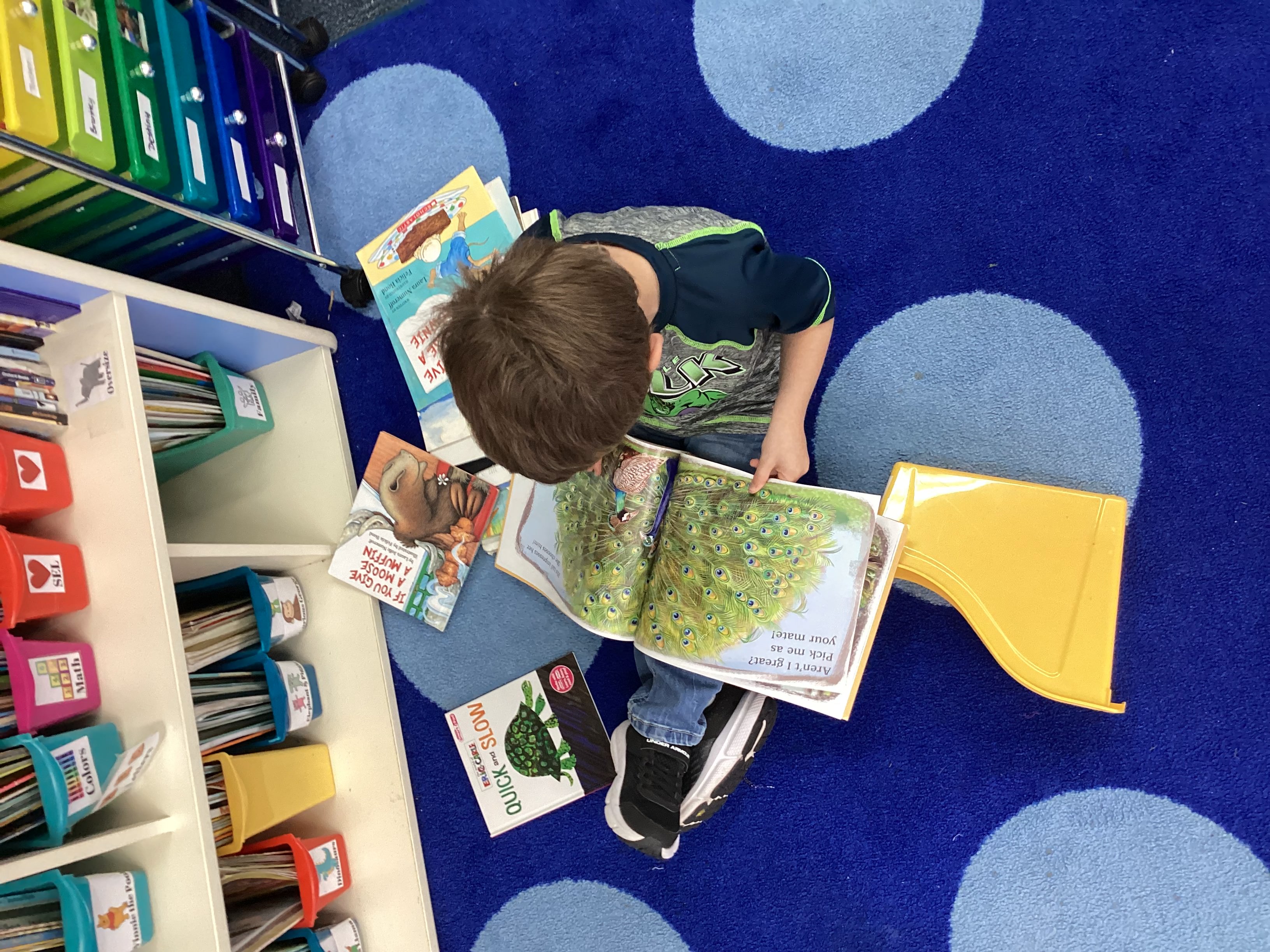 A child reads a book.